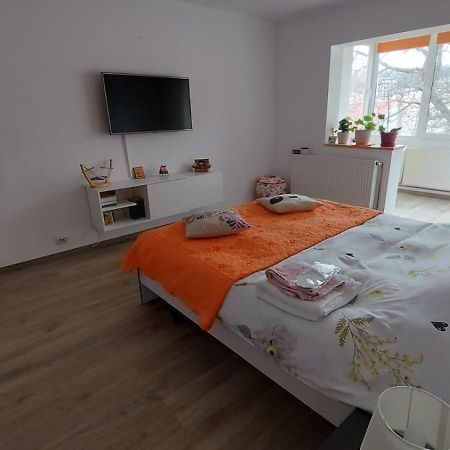 Apartament Spatios In Brașov Exterior foto