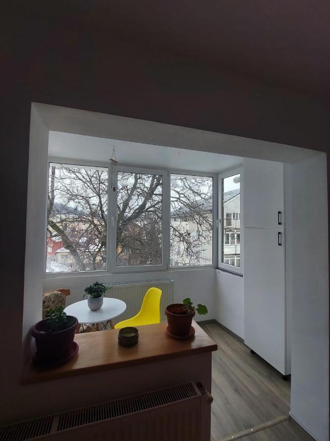 Apartament Spatios In Brașov Exterior foto