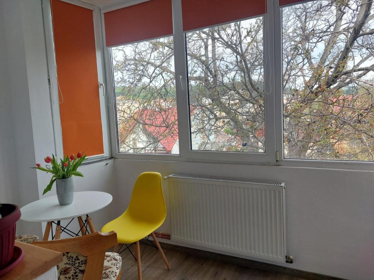 Apartament Spatios In Brașov Exterior foto