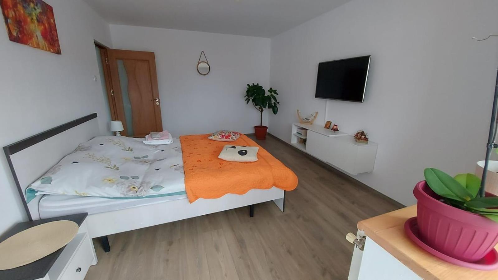 Apartament Spatios In Brașov Exterior foto