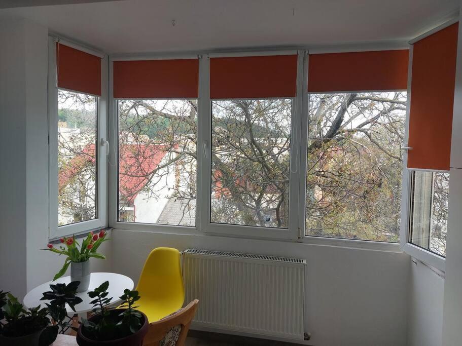 Apartament Spatios In Brașov Exterior foto